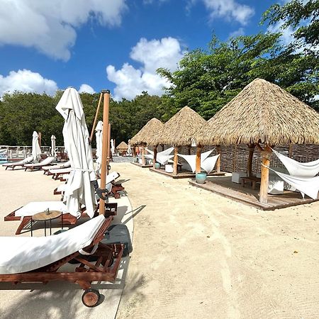 La Ruche De Maia - Blue Dream Beach - Piscine - Jardin - Plage Grand-Bourg  외부 사진