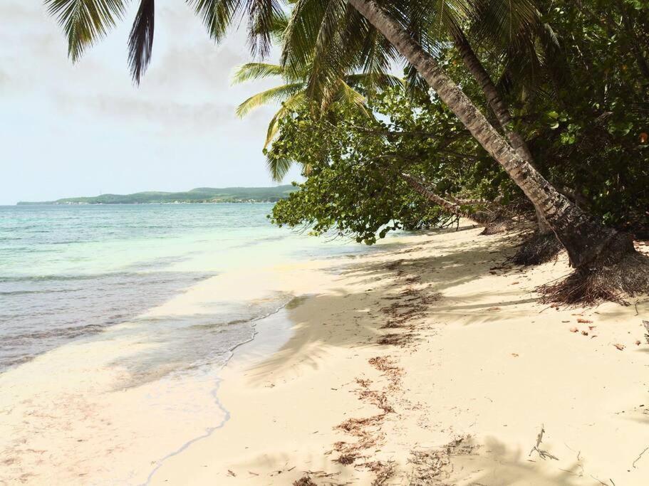 La Ruche De Maia - Blue Dream Beach - Piscine - Jardin - Plage Grand-Bourg  외부 사진