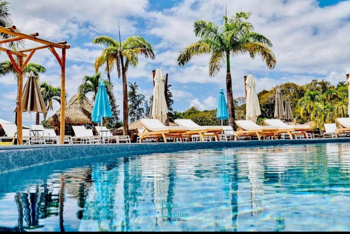 La Ruche De Maia - Blue Dream Beach - Piscine - Jardin - Plage Grand-Bourg  외부 사진