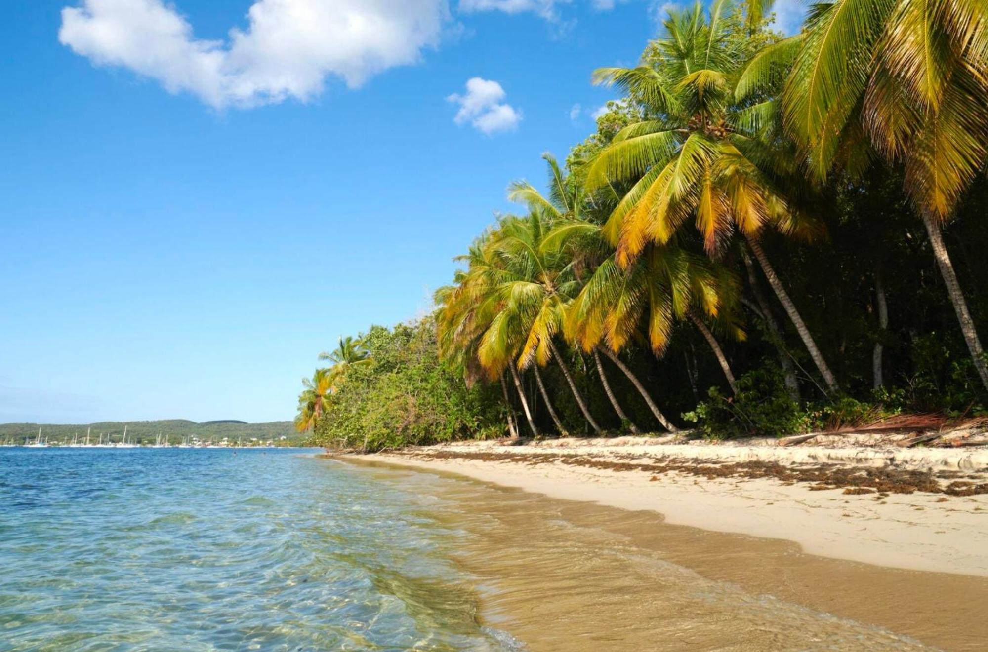 La Ruche De Maia - Blue Dream Beach - Piscine - Jardin - Plage Grand-Bourg  외부 사진