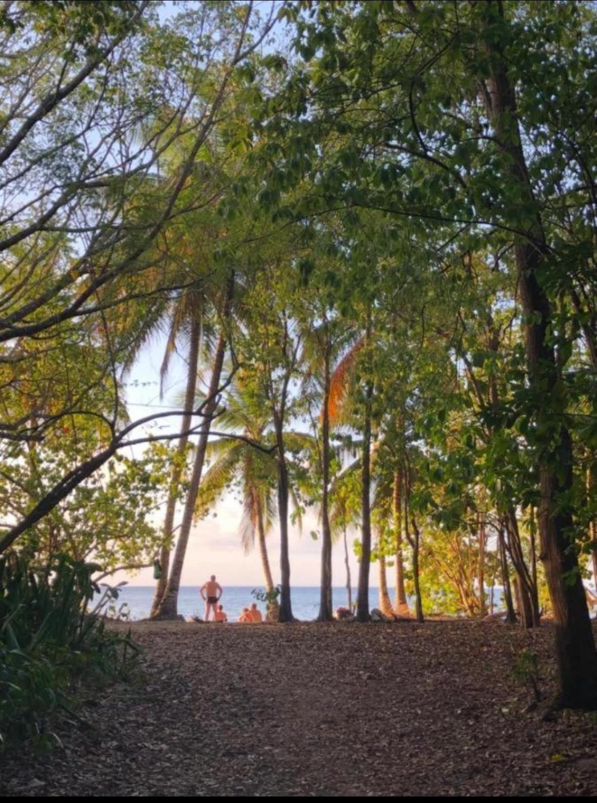 La Ruche De Maia - Blue Dream Beach - Piscine - Jardin - Plage Grand-Bourg  외부 사진