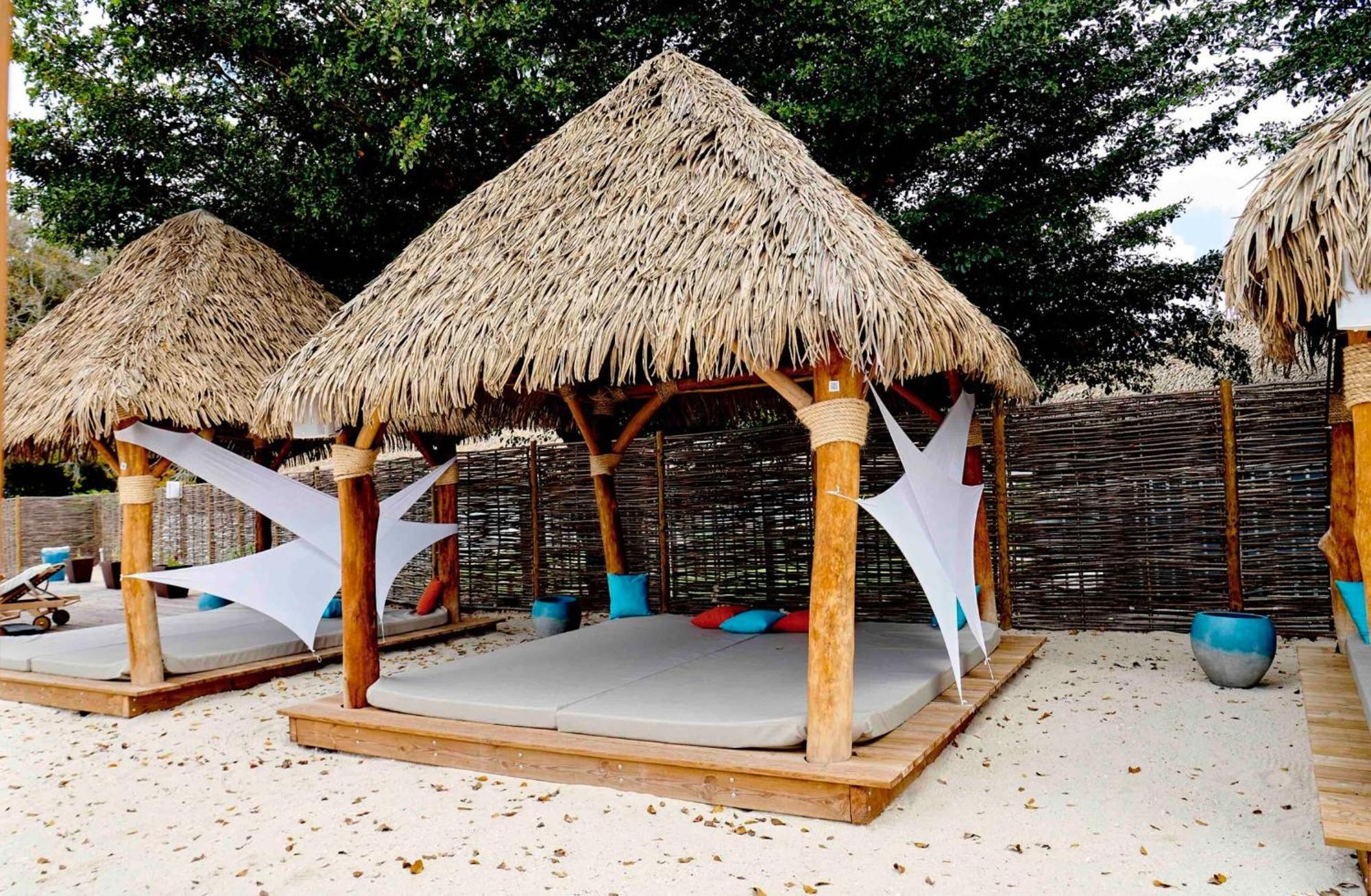 La Ruche De Maia - Blue Dream Beach - Piscine - Jardin - Plage Grand-Bourg  외부 사진