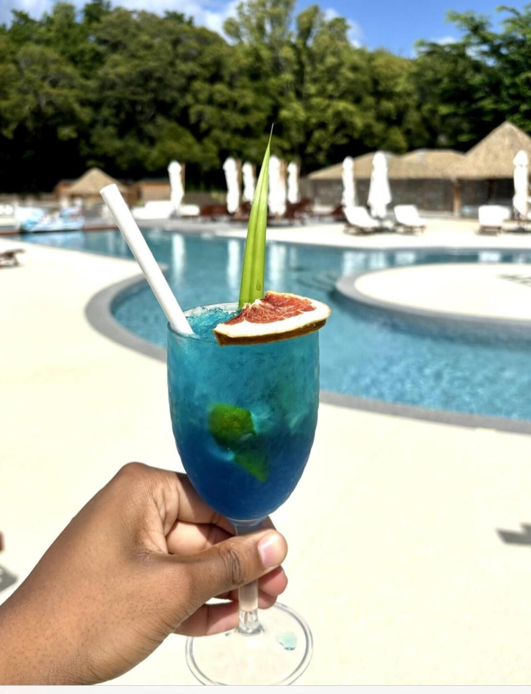 La Ruche De Maia - Blue Dream Beach - Piscine - Jardin - Plage Grand-Bourg  외부 사진