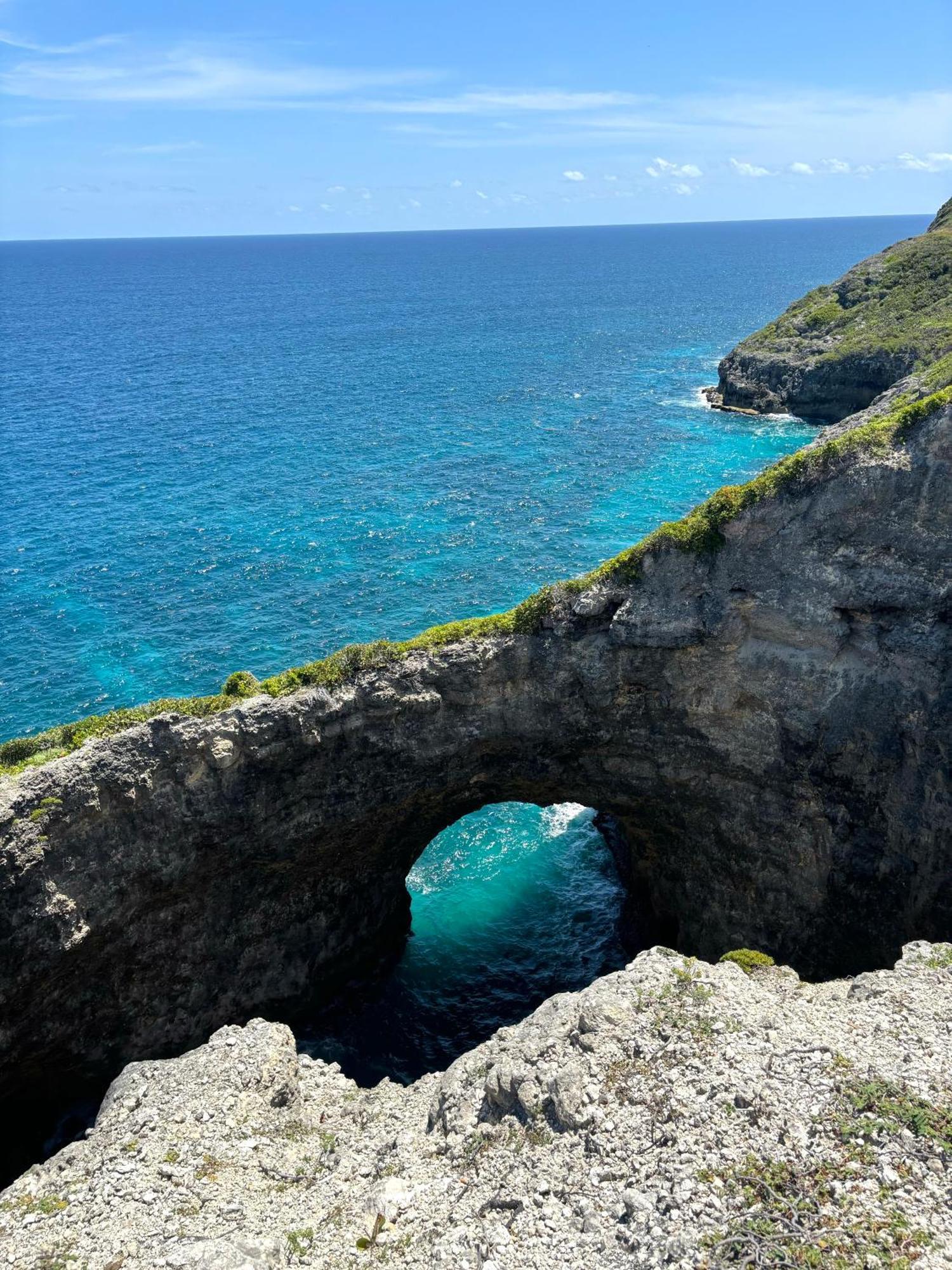 La Ruche De Maia - Blue Dream Beach - Piscine - Jardin - Plage Grand-Bourg  외부 사진