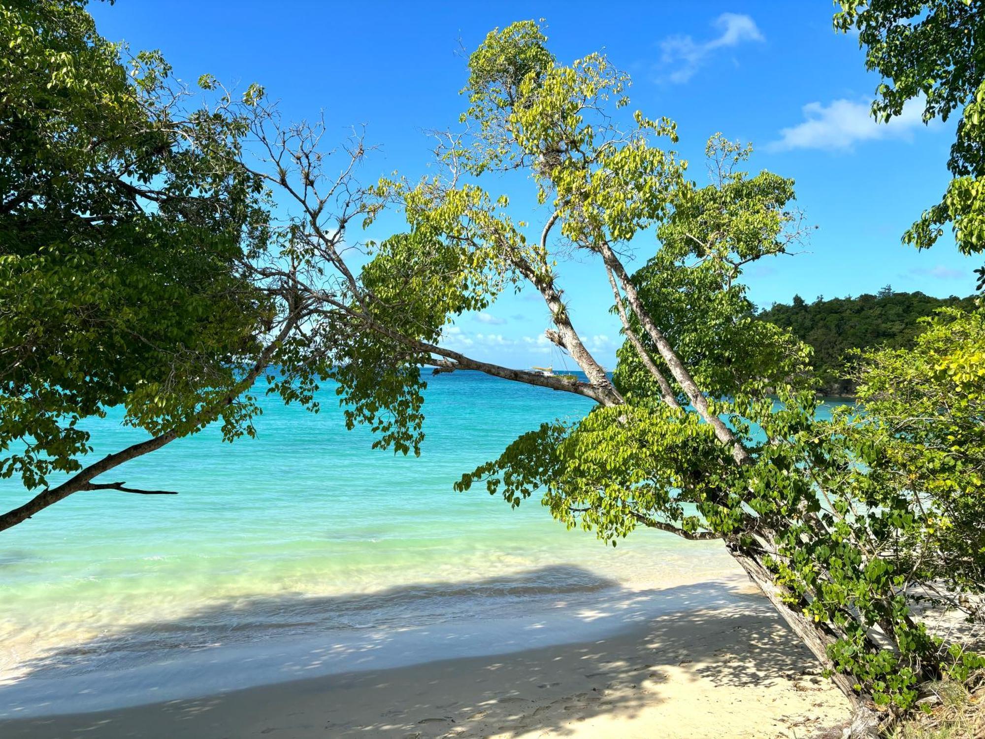 La Ruche De Maia - Blue Dream Beach - Piscine - Jardin - Plage Grand-Bourg  외부 사진