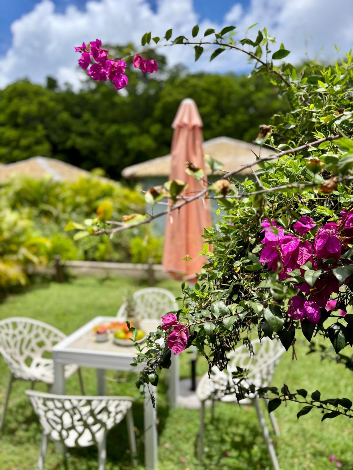 La Ruche De Maia - Blue Dream Beach - Piscine - Jardin - Plage Grand-Bourg  외부 사진
